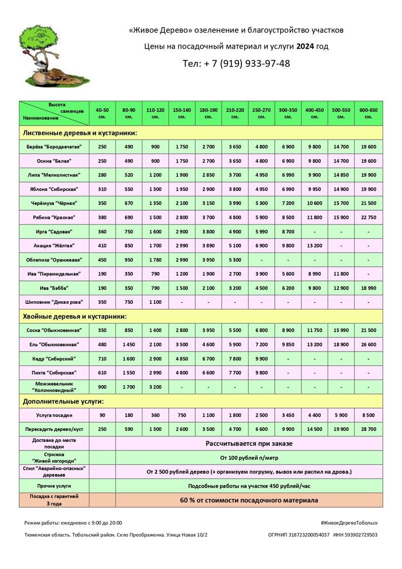 Живое Дерево - Прайс лист